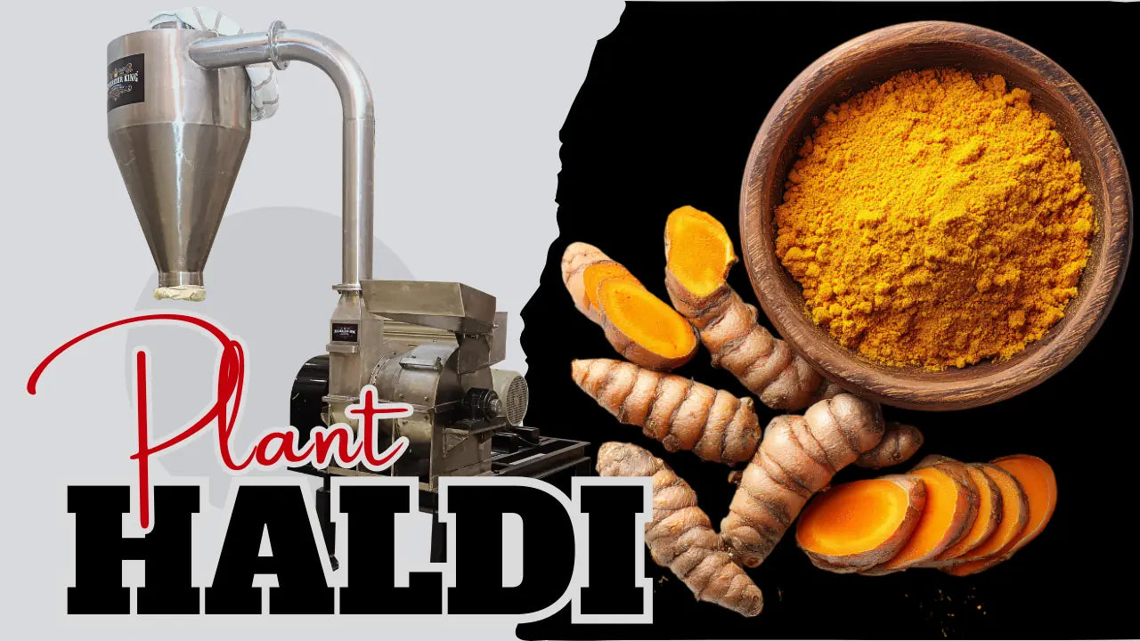 Turmeric Grinding Machine in Surat for Commercial Haldi Processing