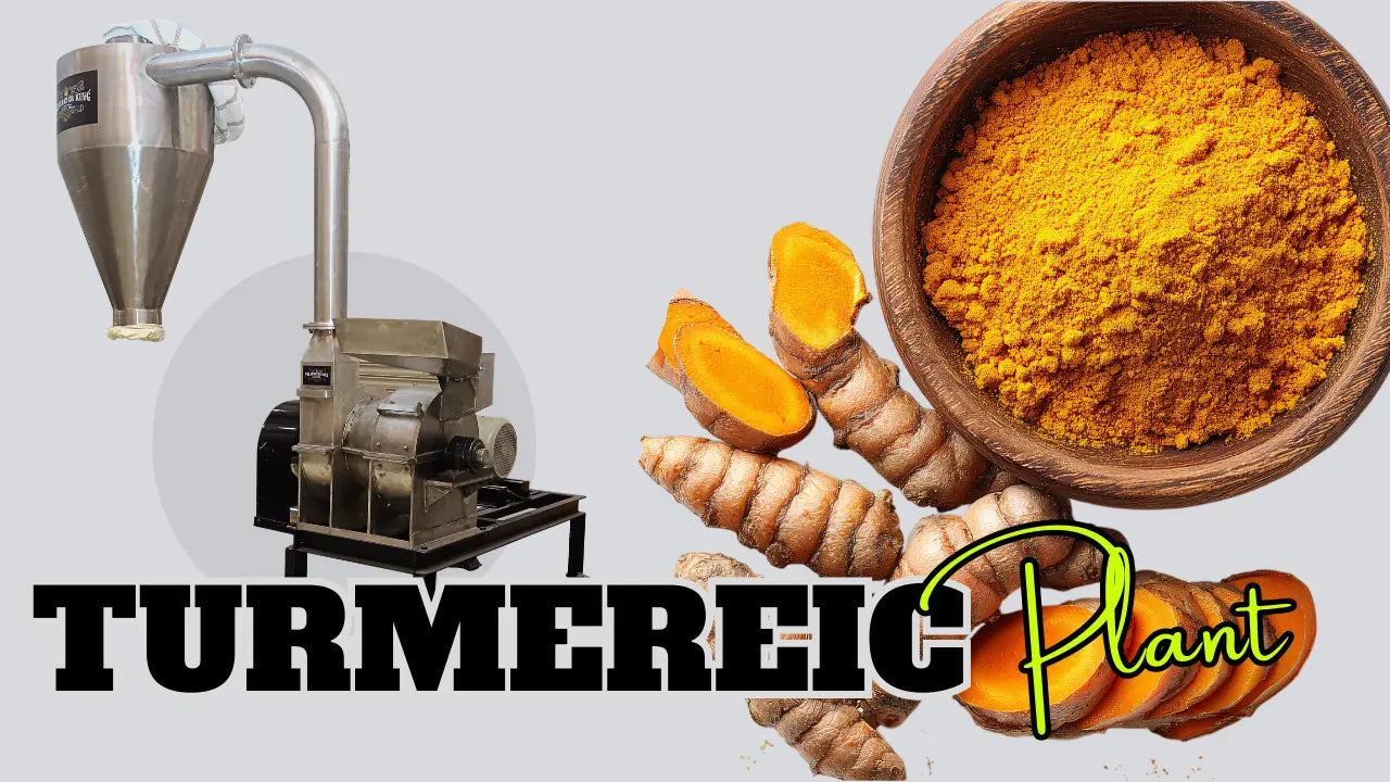 Haldi Powder Machine in Surat for Commercial Turmeric Processing